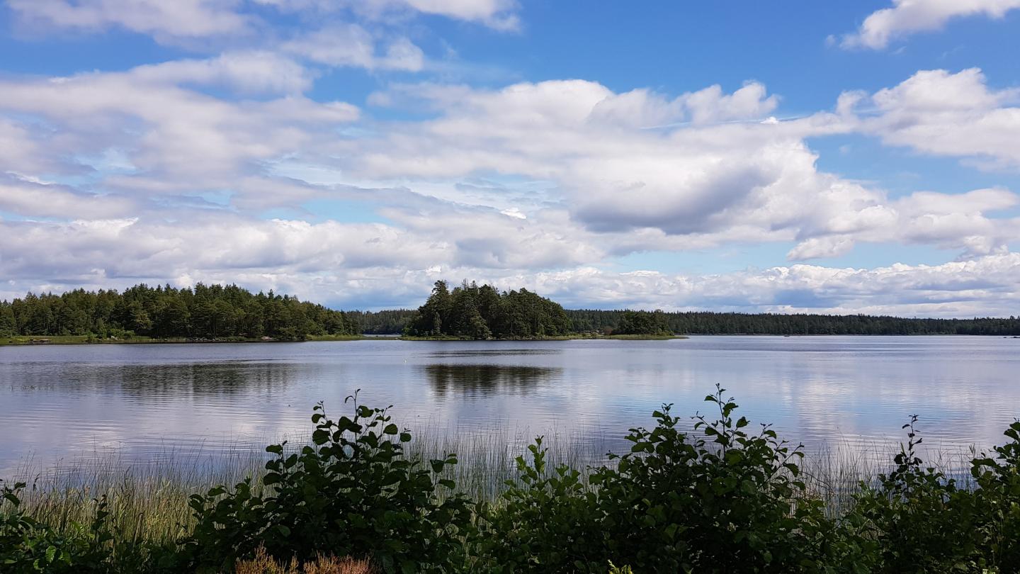 Vy över sjön Åsnen