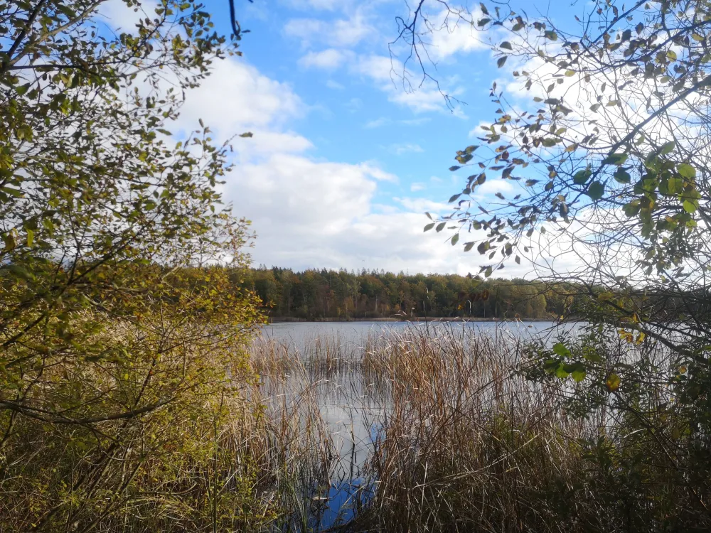Naturreservat Hensjönäset