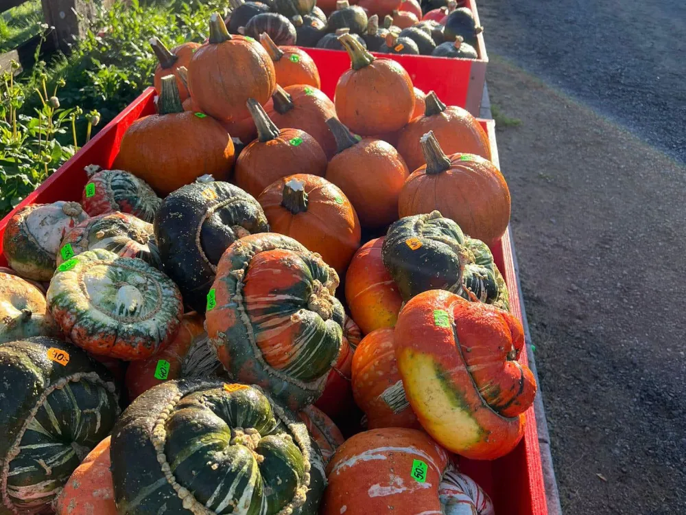 The Farm Shop in Urshult