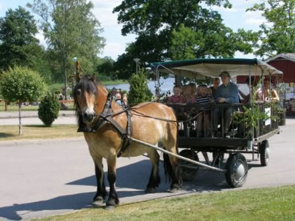 Tingsryds Resort/Cottages