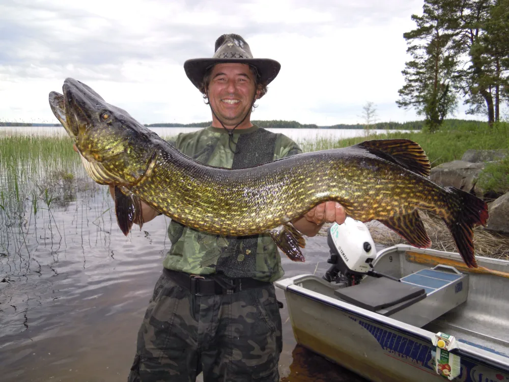 Gäddfiske på Getnö