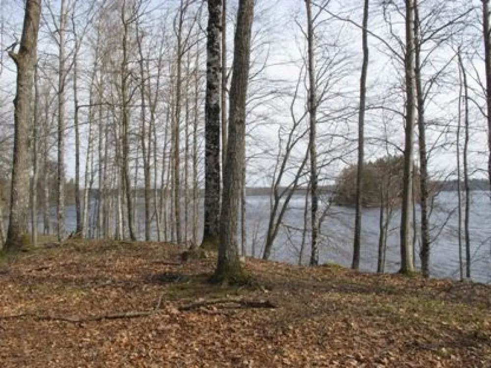 Nature reserve Grönvik