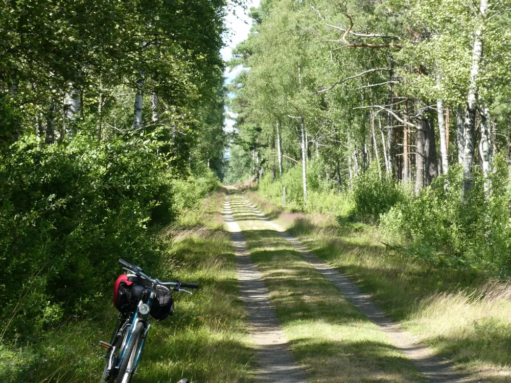 Åsnen runt (A bike tour around lake Åsnen)