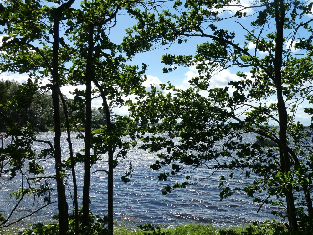 Åsnen runt (A bike tour around lake Åsnen)