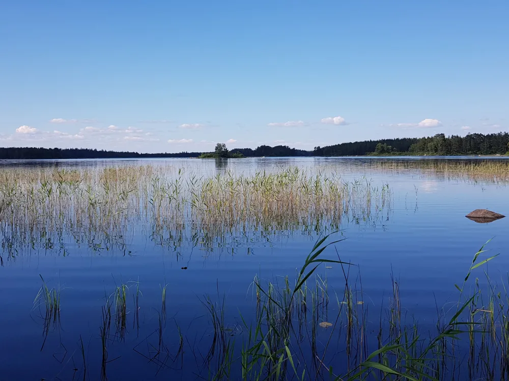 Åsnen National Park