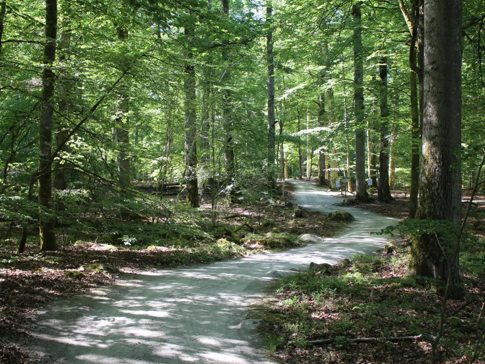 Åsnen National Park