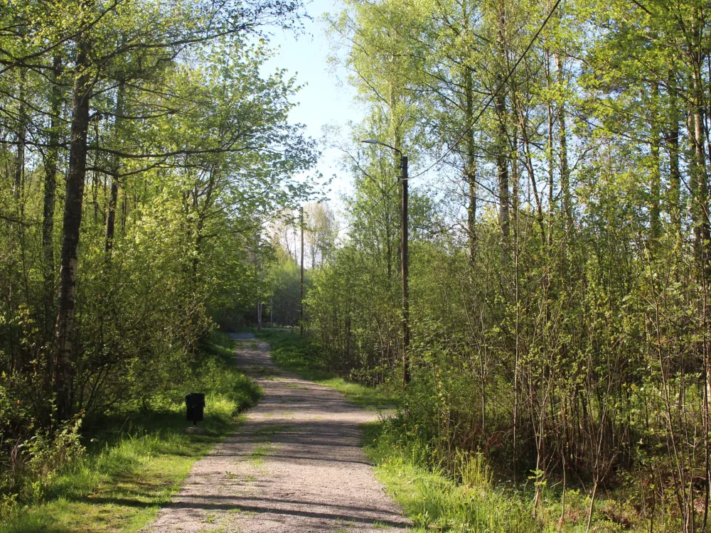 Motionsspår - Väckelsång