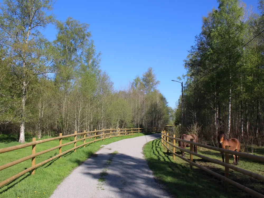 Motionsspår - Väckelsång