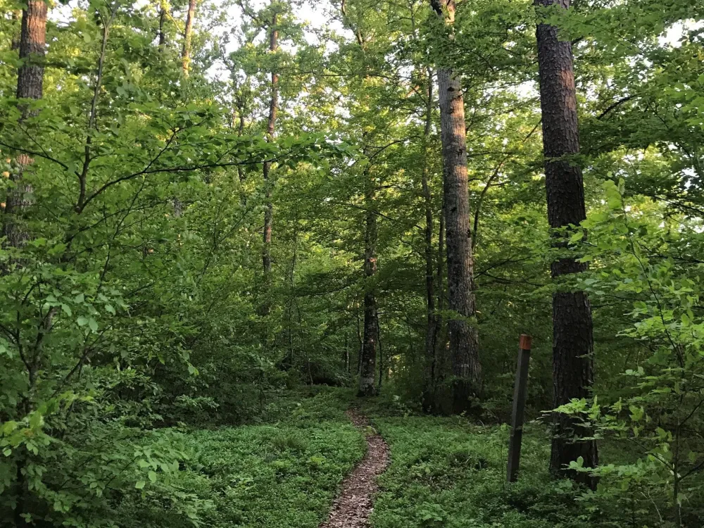 Naturreservat Älganäs