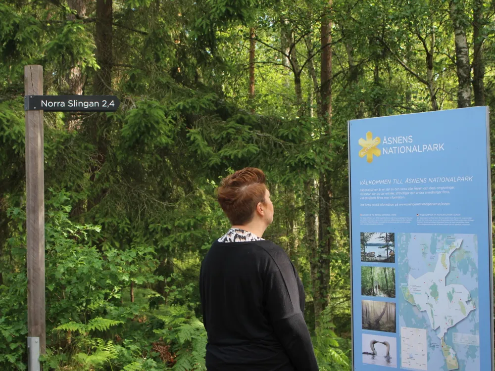 Vandra runt Toftåsa myr