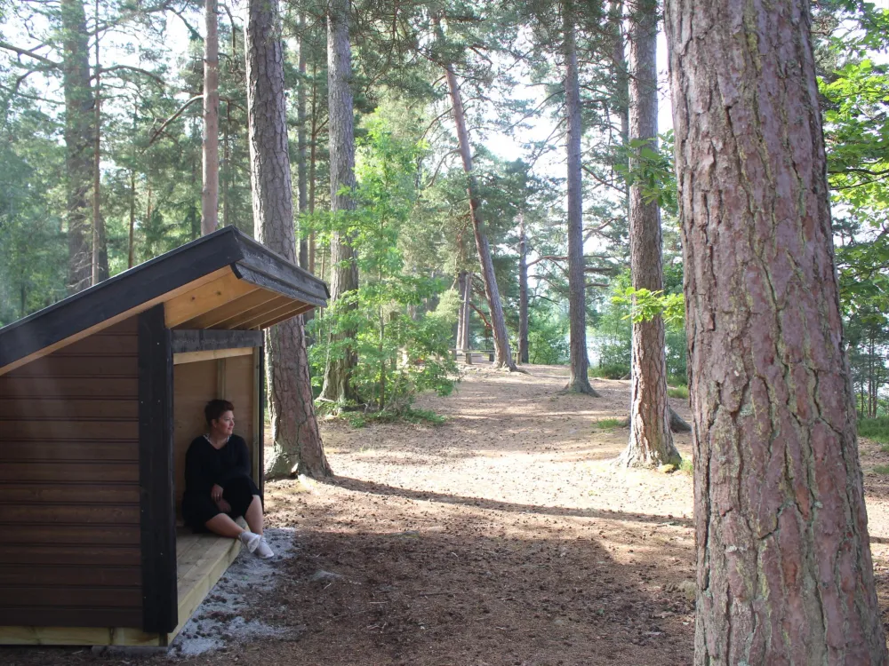 Vandra runt Toftåsa myr