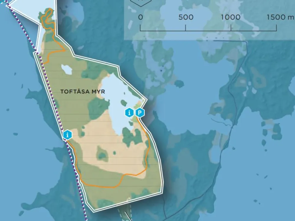 Vandra runt Toftåsa myr