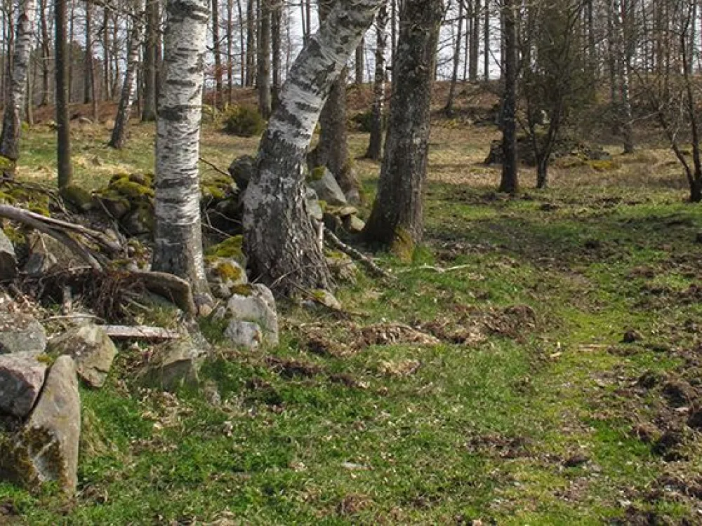 Nature reserve Grönvik