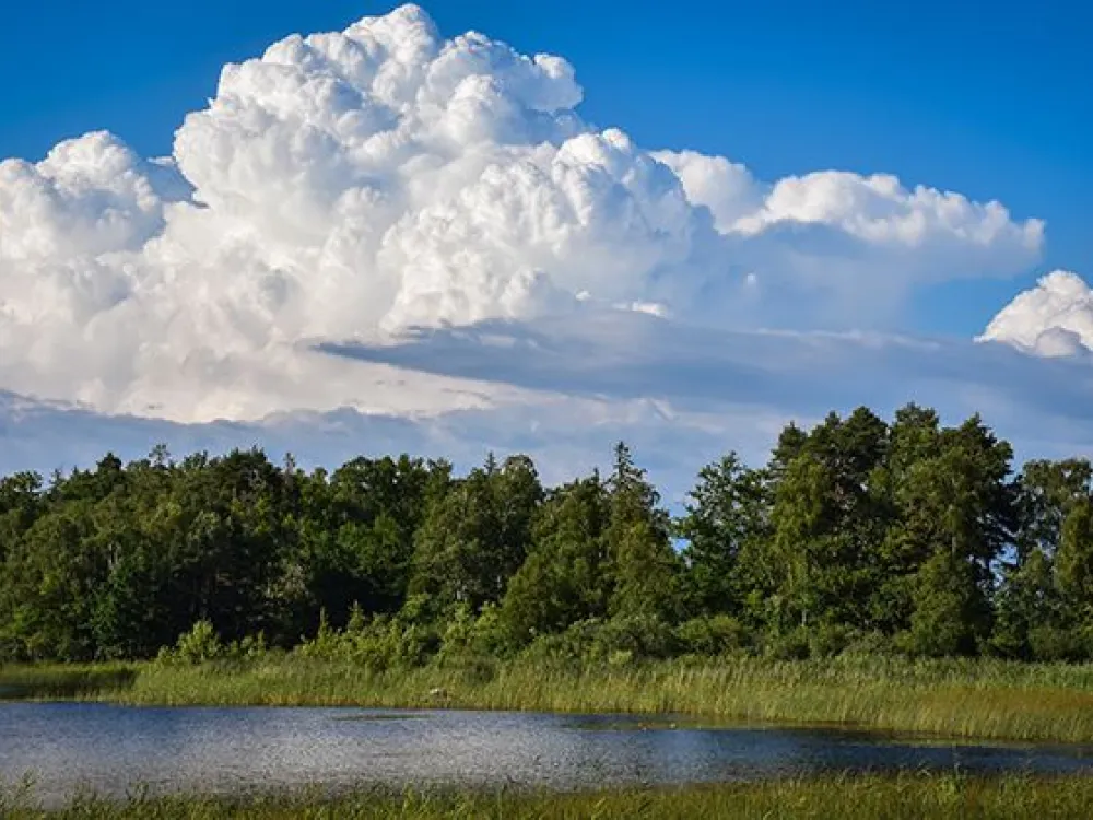 Nature reserve Hunshult