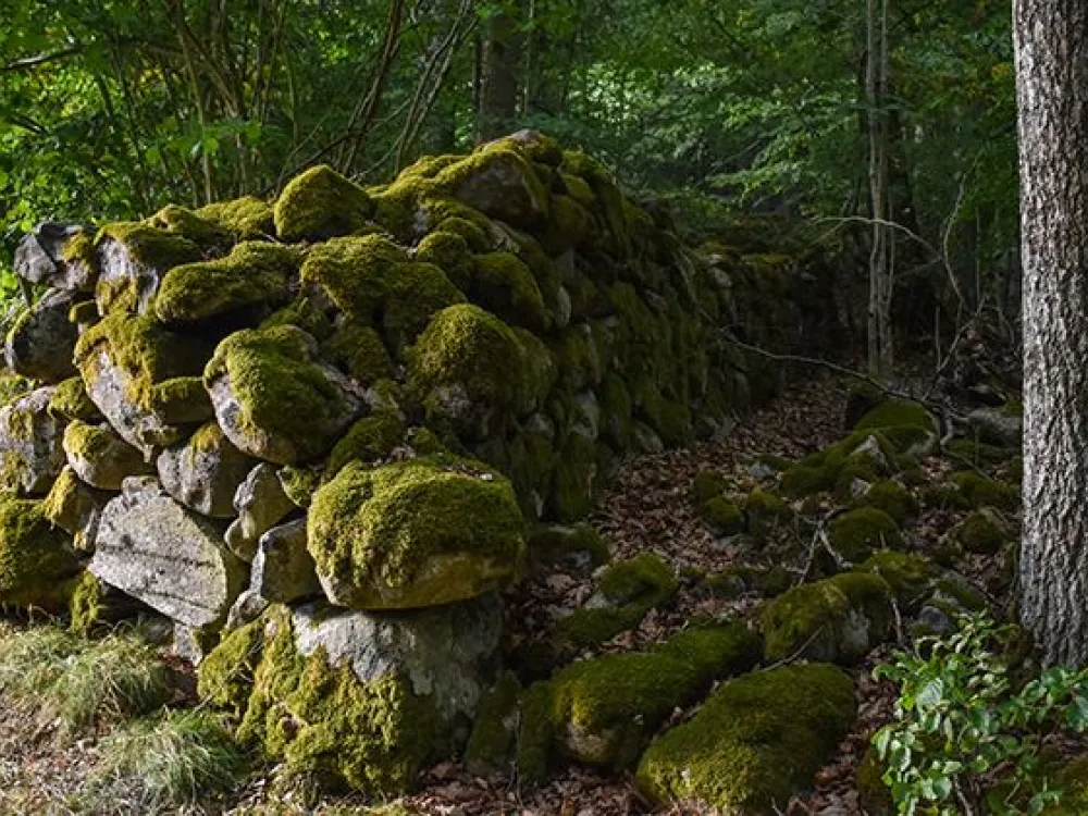 Nature reserve Hunshult