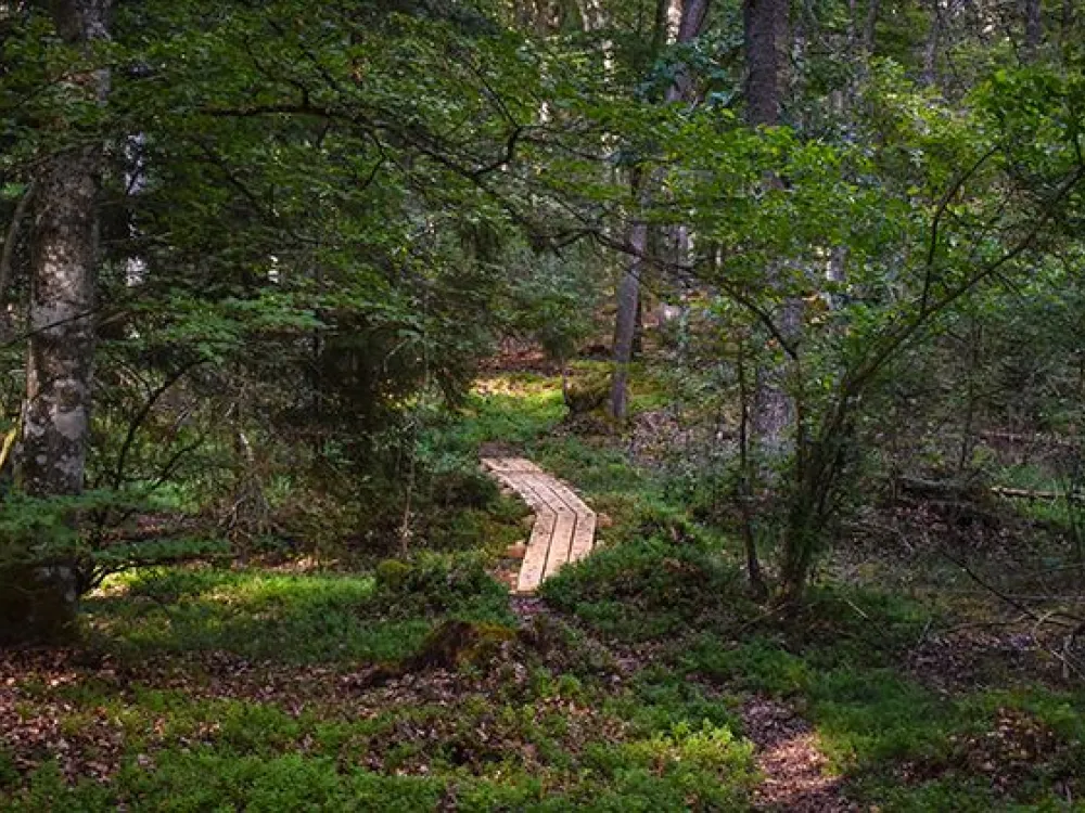 Nature reserve Hunshult