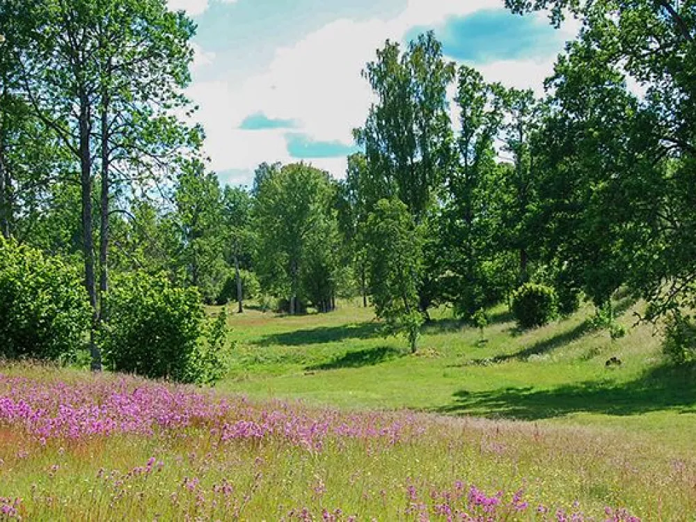 Naturreservat Korrö