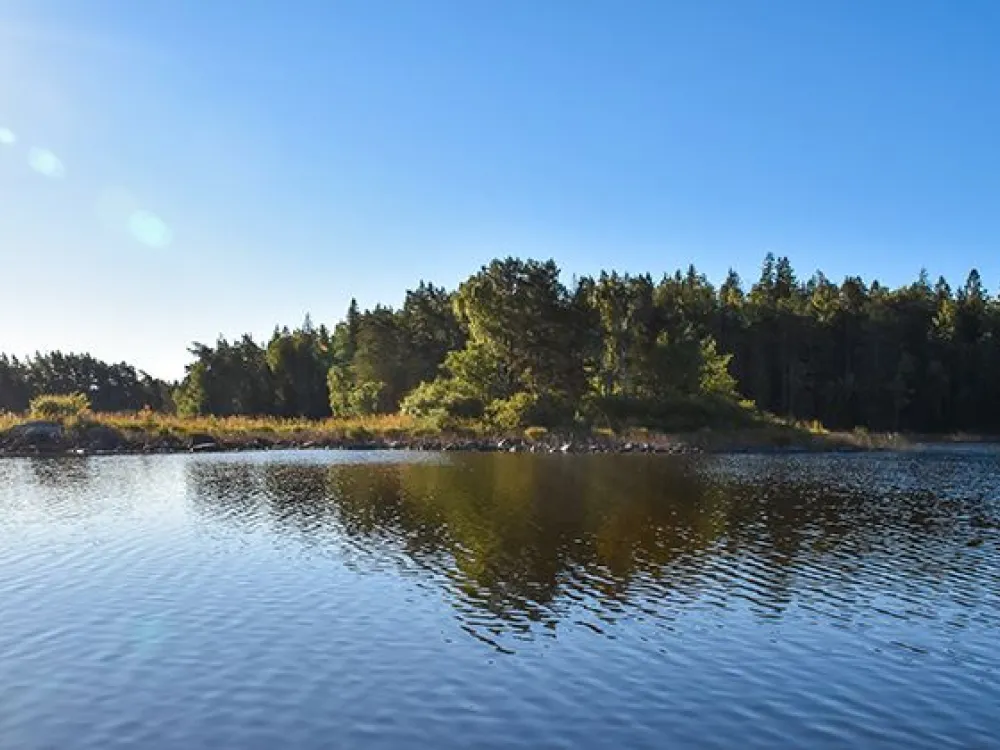 Naturschutzgebiet Långö