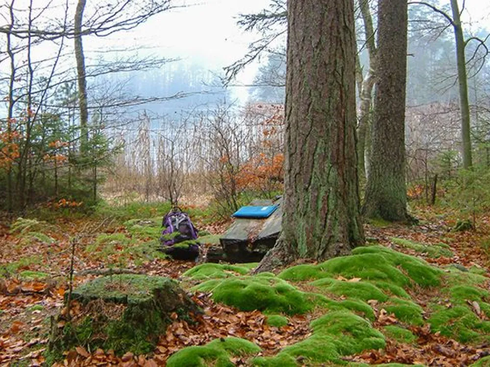 Nature reserve Midingsbråte