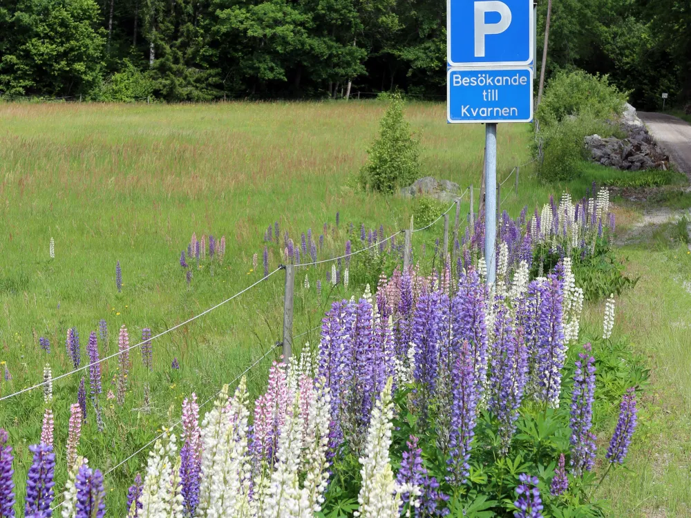 Väderkvarnen i Segersnäs