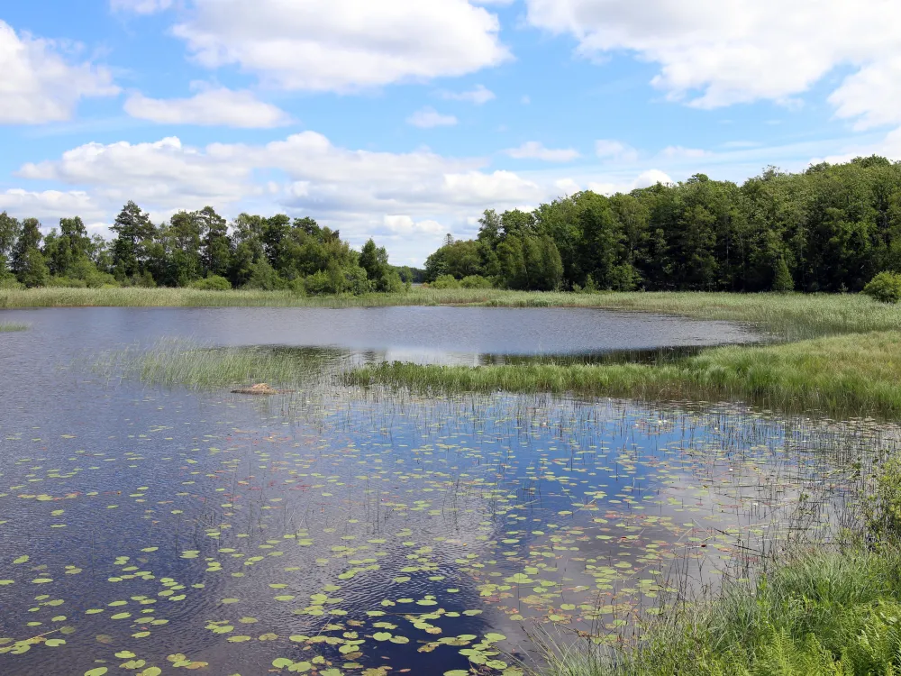 Nature reserve Hunshult