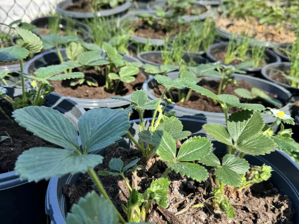 The Farm Shop in Urshult