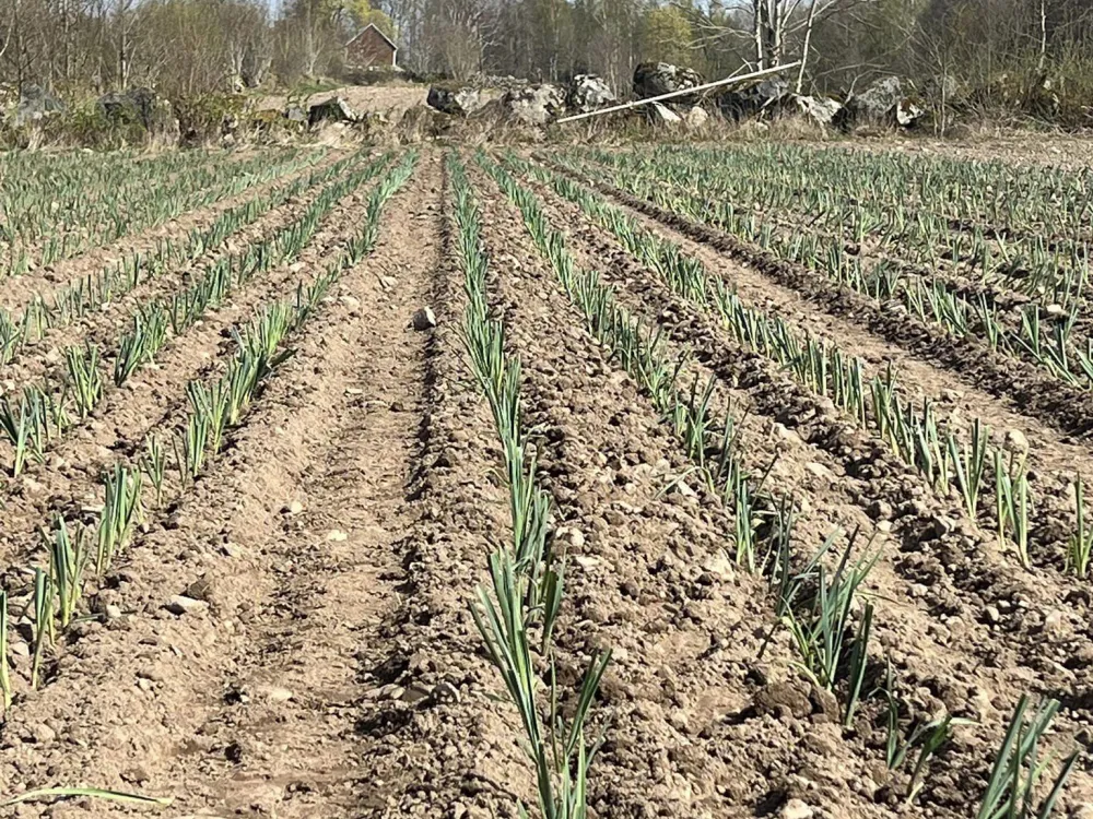 The Farm Shop in Urshult