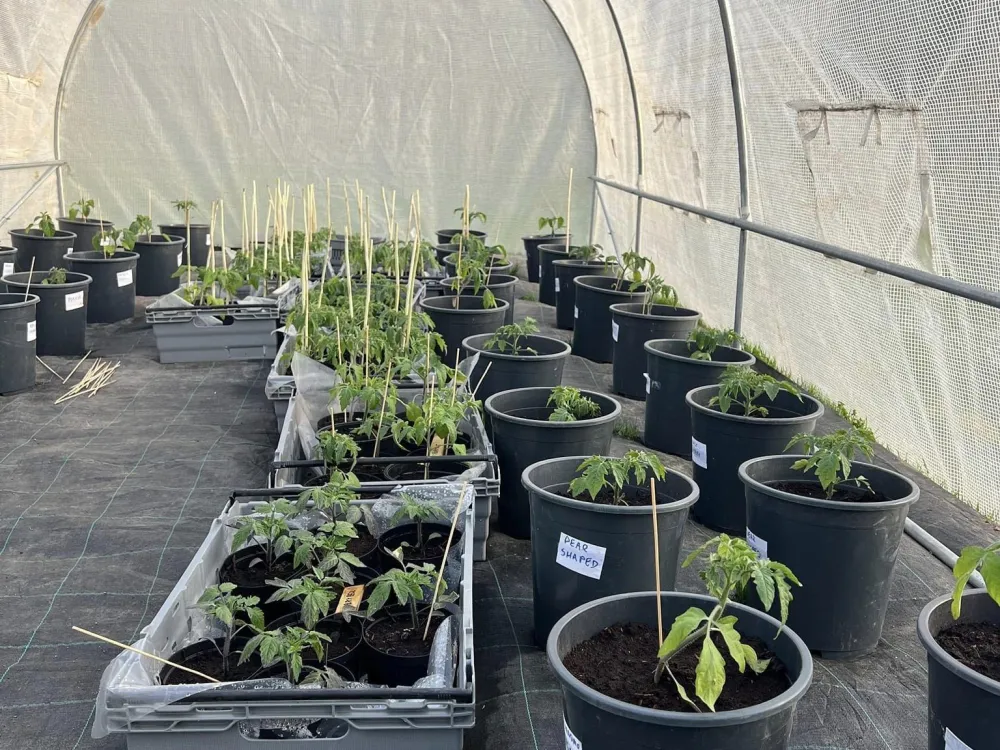 The Farm Shop in Urshult